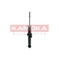 KAMOKA 2000698