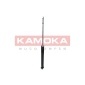 KAMOKA 2000755