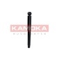 KAMOKA 2000805