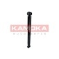 KAMOKA 2000876