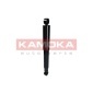 KAMOKA 2000883