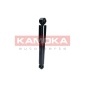 KAMOKA 2000886
