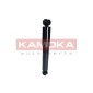 KAMOKA 2000886