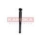 KAMOKA 2000912