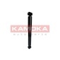KAMOKA 2000913
