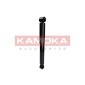 KAMOKA 2000913