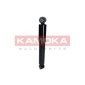 KAMOKA 2000918