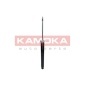KAMOKA 2000919