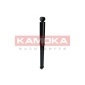 KAMOKA 2000928