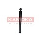 KAMOKA 2000954