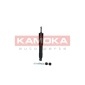 KAMOKA 2001007