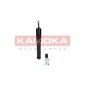 KAMOKA 2001008