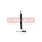 KAMOKA 2001008