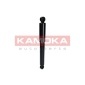 KAMOKA 2001012