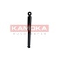 KAMOKA 2001019