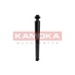 KAMOKA 2001019