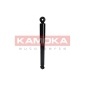 KAMOKA 2001019