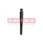 KAMOKA 2001020
