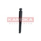 KAMOKA 2001020