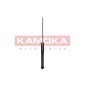 KAMOKA 2001021