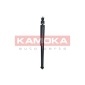 KAMOKA 2001026