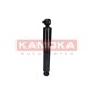 KAMOKA 2001036