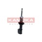 KAMOKA 2001039