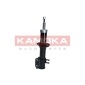 KAMOKA 2001040