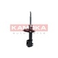 KAMOKA 2001043