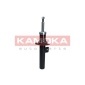2001049 KAMOKA Амортизатор