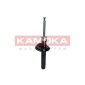 KAMOKA 2001052