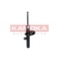 KAMOKA 2001052
