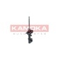 KAMOKA 2001057