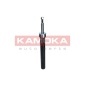 KAMOKA 2001071