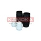 KAMOKA 2019127
