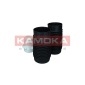 KAMOKA 2019127