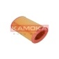 KAMOKA F213801