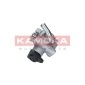 KAMOKA PP026