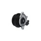 KAMOKA T0278