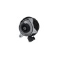 KAMOKA T0278