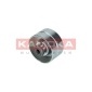 KAMOKA R0269