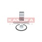 KAMOKA 5600024