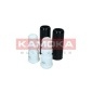 KAMOKA 2019122