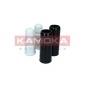 KAMOKA 2019122