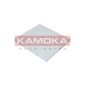 KAMOKA F407201