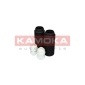 KAMOKA 2019007