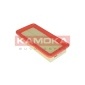 KAMOKA F226601