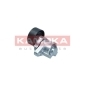 KAMOKA R0624