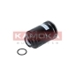 KAMOKA F313101