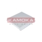 KAMOKA F404001